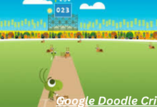 Google Doodle Cricket