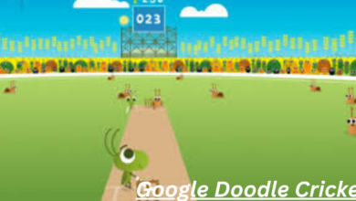 Google Doodle Cricket