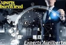 Experts Aigilbertwired