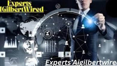 Experts Aigilbertwired