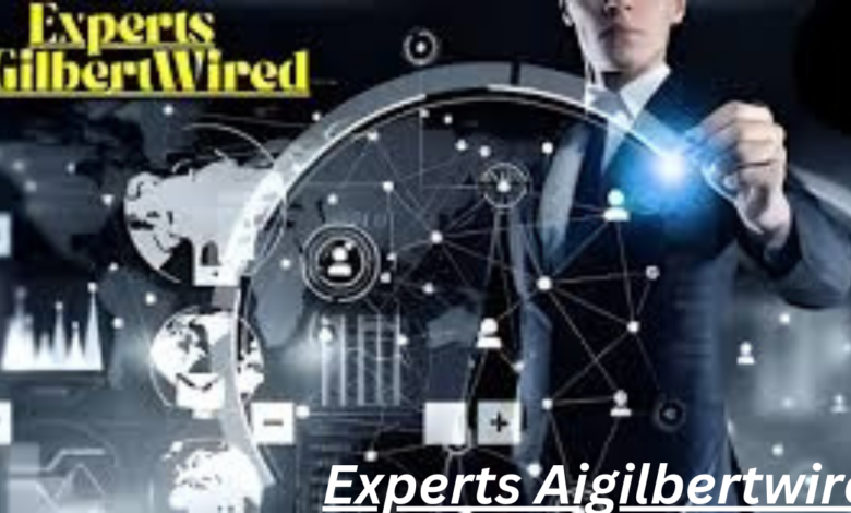 Experts Aigilbertwired